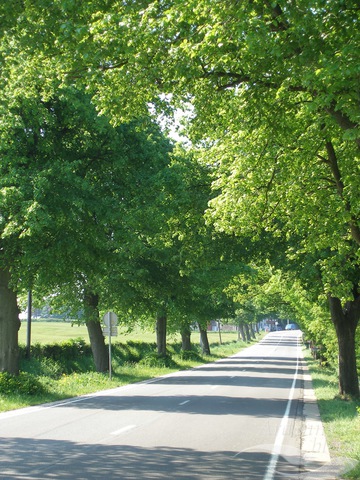 PAYS - Route Charlemagne